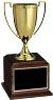 goldcup25