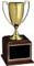 goldcup25